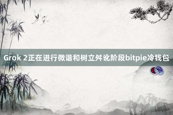 Grok 2正在进行微谐和树立舛讹阶段bitpie冷钱包