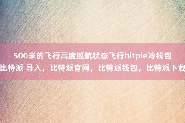 500米的飞行高度巡航状态飞行bitpie冷钱包比特派 导入，比特派官网，比特派钱包，比特派下载