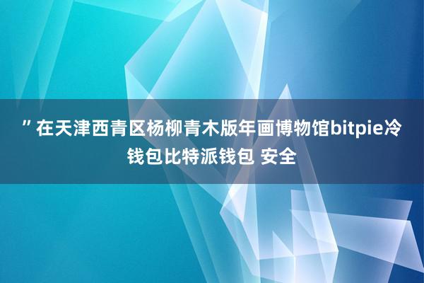 ”在天津西青区杨柳青木版年画博物馆bitpie冷钱包比特派钱包 安全