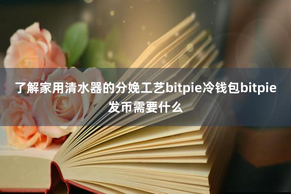 了解家用清水器的分娩工艺bitpie冷钱包bitpie发币需要什么