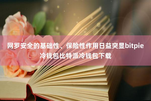 网罗安全的基础性、保险性作用日益突显bitpie冷钱包比特派冷钱包下载