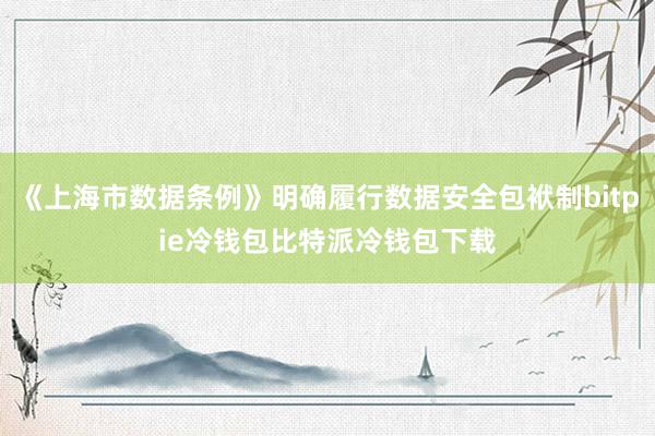 《上海市数据条例》明确履行数据安全包袱制bitpie冷钱包比特派冷钱包下载