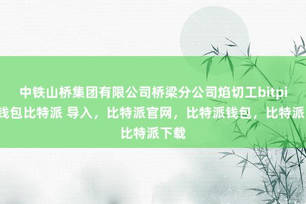 中铁山桥集团有限公司桥梁分公司焰切工bitpie冷钱包比特派 导入，比特派官网，比特派钱包，比特派下载