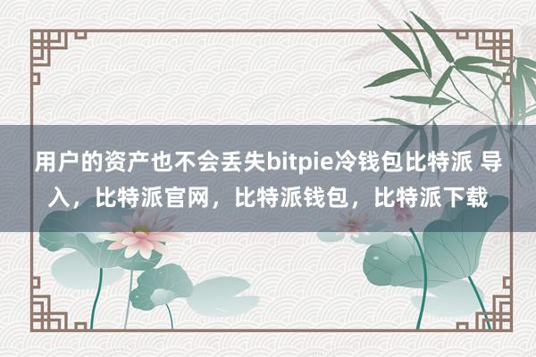 用户的资产也不会丢失bitpie冷钱包比特派 导入，比特派官网，比特派钱包，比特派下载