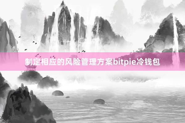 制定相应的风险管理方案bitpie冷钱包