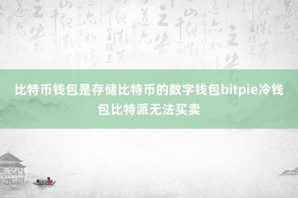 比特币钱包是存储比特币的数字钱包bitpie冷钱包比特派无法买卖