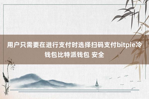 用户只需要在进行支付时选择扫码支付bitpie冷钱包比特派钱包 安全