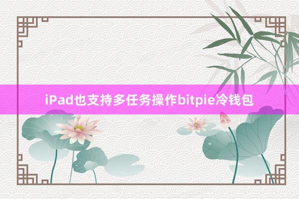 iPad也支持多任务操作bitpie冷钱包