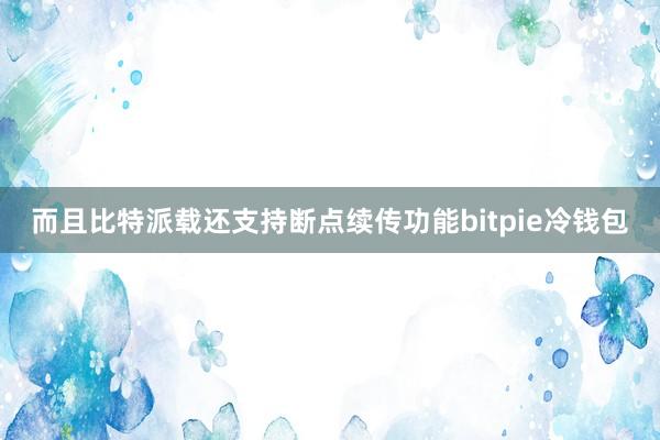 而且比特派载还支持断点续传功能bitpie冷钱包