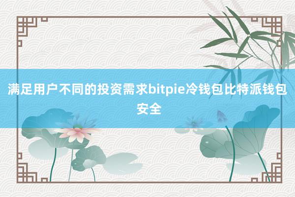 满足用户不同的投资需求bitpie冷钱包比特派钱包 安全