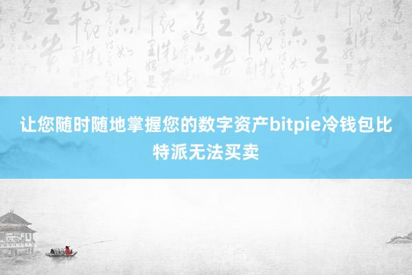 让您随时随地掌握您的数字资产bitpie冷钱包比特派无法买卖