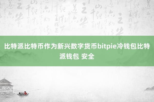 比特派比特币作为新兴数字货币bitpie冷钱包比特派钱包 安全