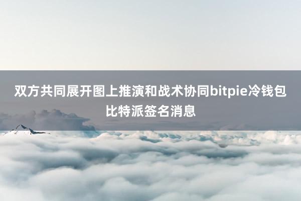 双方共同展开图上推演和战术协同bitpie冷钱包比特派签名消息