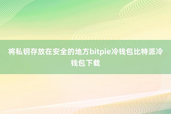 将私钥存放在安全的地方bitpie冷钱包比特派冷钱包下载