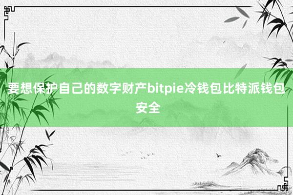 要想保护自己的数字财产bitpie冷钱包比特派钱包 安全