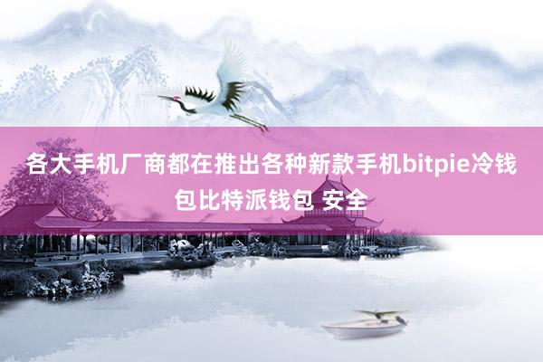 各大手机厂商都在推出各种新款手机bitpie冷钱包比特派钱包 安全