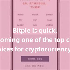 Bitpie is quickly becoming one of the top choices for cryptocurrency enthusiasts worldwide.bitpie冷钱包比特派 导入，比特派官网，比特派钱包，比特派下载