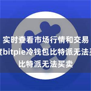 实时查看市场行情和交易深度bitpie冷钱包比特派无法买卖