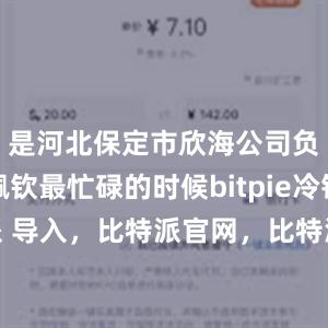 是河北保定市欣海公司负责人杨佩钦最忙碌的时候bitpie冷钱包比特派 导入，比特派官网，比特派钱包，比特派下载