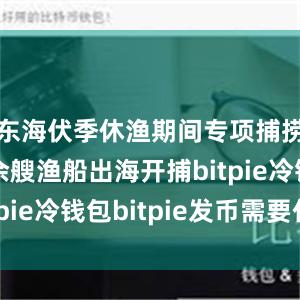 东海伏季休渔期间专项捕捞9600余艘渔船出海开捕bitpie冷钱包bitpie发币需要什么