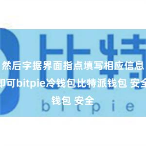 然后字据界面指点填写相应信息即可bitpie冷钱包比特派钱包 安全