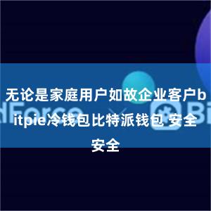 无论是家庭用户如故企业客户bitpie冷钱包比特派钱包 安全